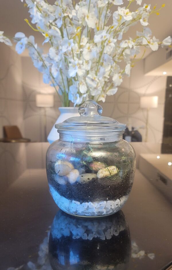 Round Jar Terrarium